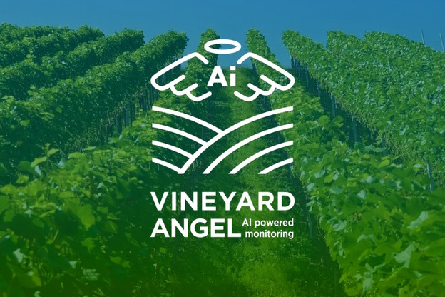 Vineyard Angel je domaće AI rješenje za poljoprivredu