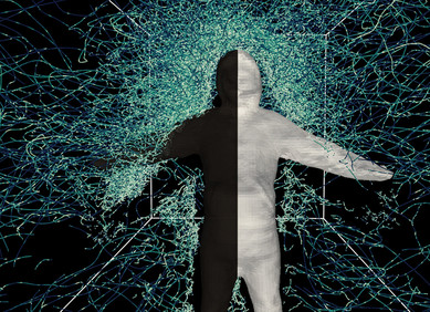 Novi model predviđa kako će komarci letjeti Novi model predviđa kako će komarci letjeti