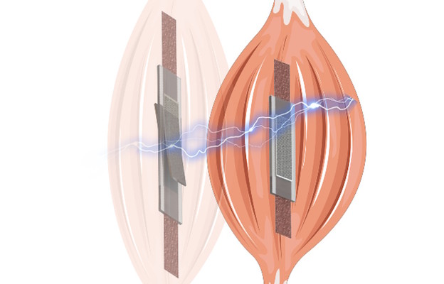 Revolucionarni samoosjetljivi električni umjetni mišići