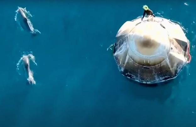 VIDEO: Delfini dočekali astronaute