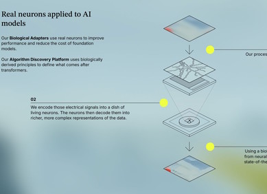 Živi neuroni integrirani u umjetnu inteligenciju Živi neuroni integrirani u umjetnu inteligenciju